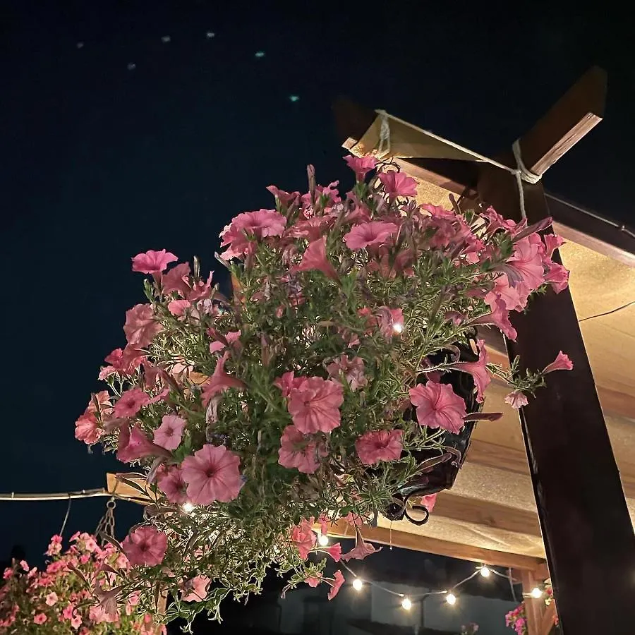 Argentiere Room Apartments Φλωρεντία